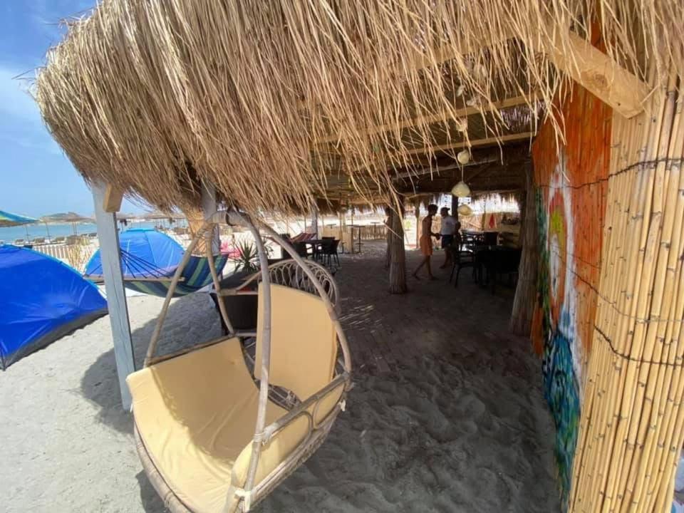 Campingplatz Freaky Friends Bar *